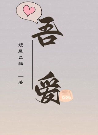 吾爱小说
