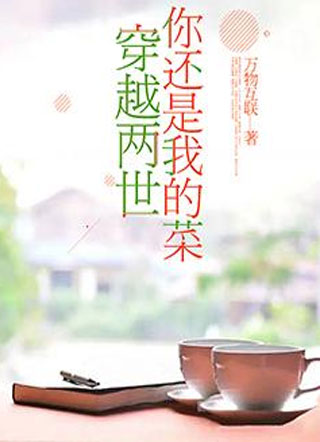 穿越两世你还是我的菜小说