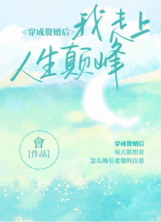 穿成赘婿后我走上人生巅峰小说