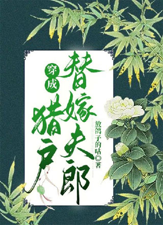 穿成猎户替嫁夫郎小说