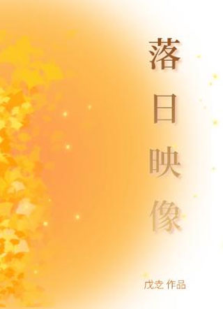 落日映像小说