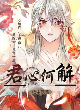 君心何解小说