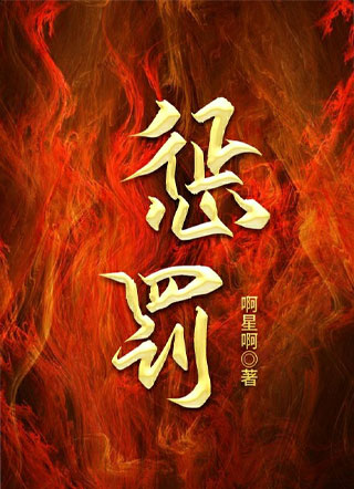 惩罚小说