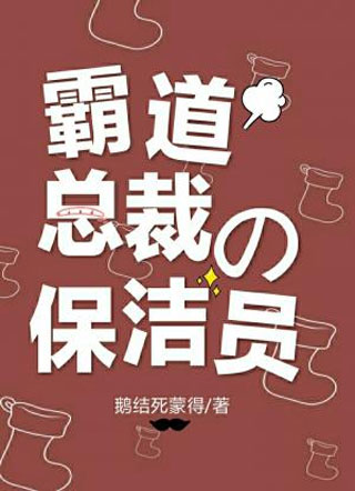 霸道总裁的保洁员小说
