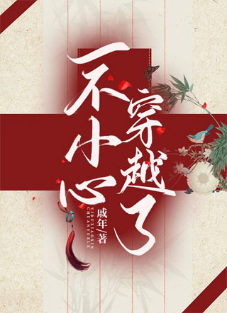 一不小心穿越了小说