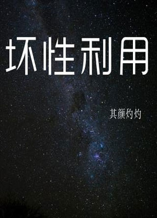 坏性利用小说