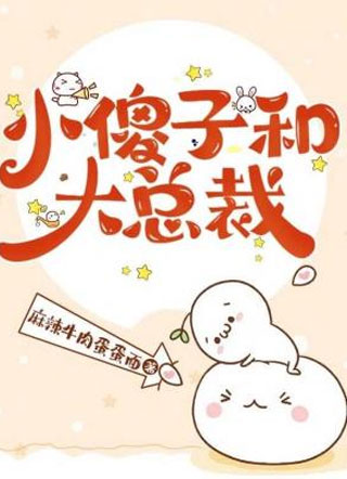 小傻子和大总裁小说