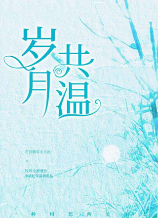 岁月共温小说