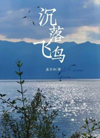 沉落飞鸟小说
