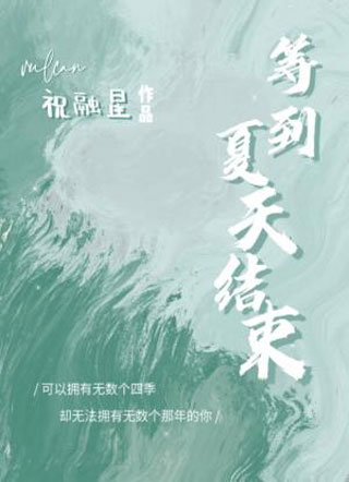 等到夏天结束小说