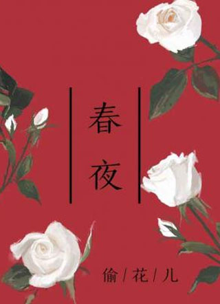 春夜偷花儿小说