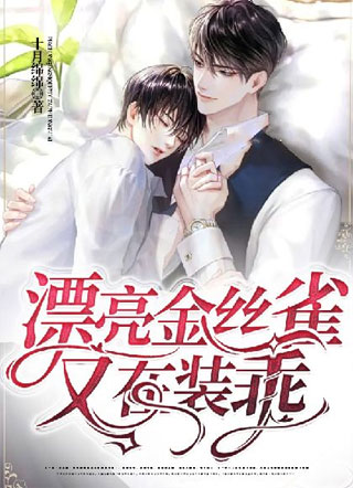 漂亮金丝雀又在装乖小说
