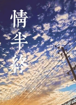 情半终小说