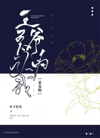 王爷总认为我是女的小说