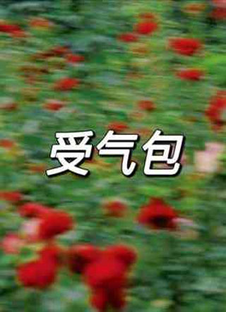 受气包小说