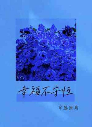 幸福不守恒小说