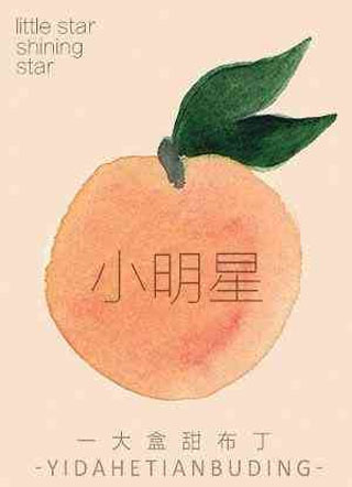 小明星贺瑀小说