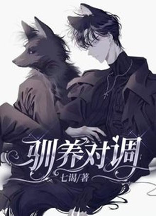 驯养对调小说