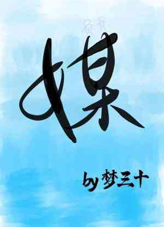 媒小说