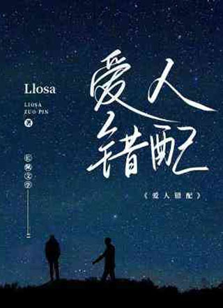 爱人错配小说