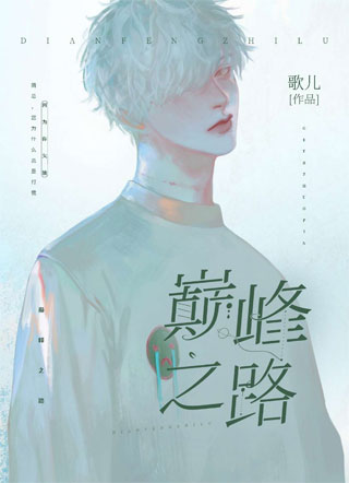 巅峰之路小说