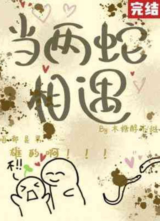 当两蛇相遇小说