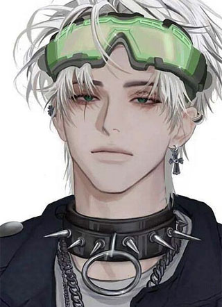 护崽师尊小说