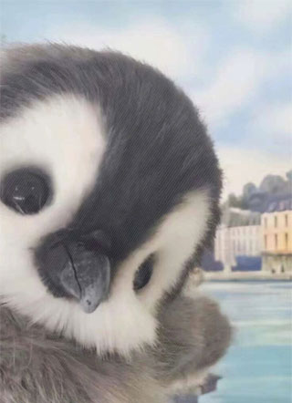 保镖难逃小说