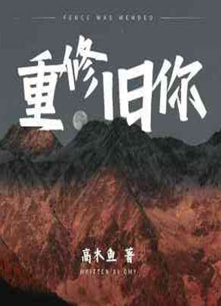 重修旧你小说