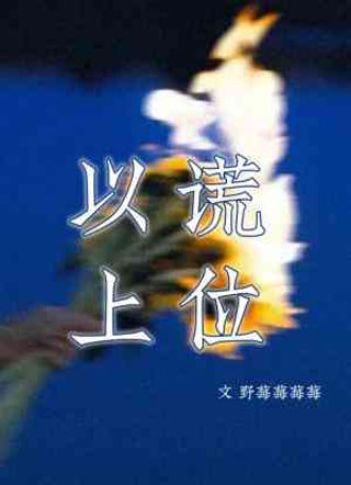 以谎上位小说