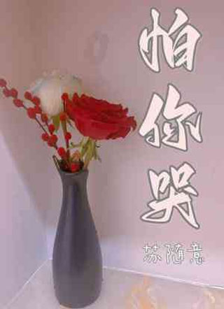 怕你哭小说