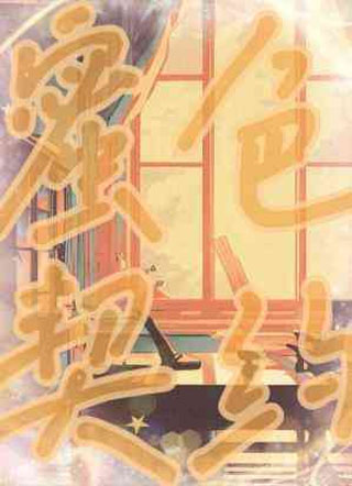 蜜色契约小说