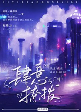 肆意撩拨小说