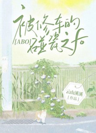 【ABO】被修车的碰瓷之后小说