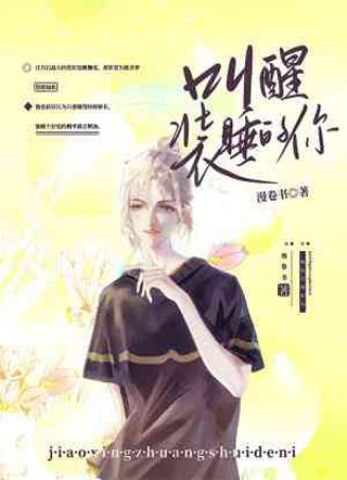 叫醒装睡的你小说