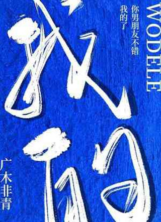 你男朋友不错，我的了小说