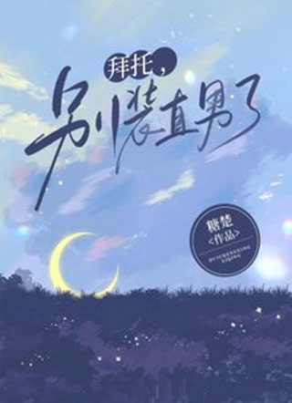 拜托，别装直男了小说