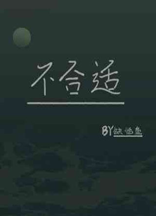 不合适小说
