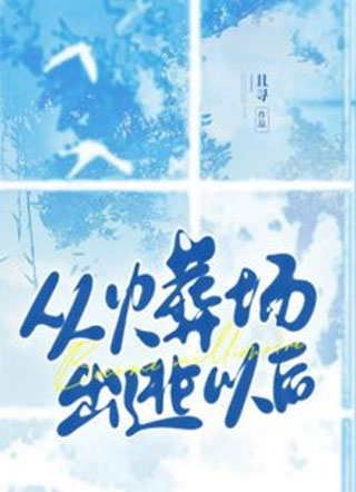 从火葬场出逃以后小说