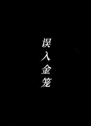 误入金笼小说