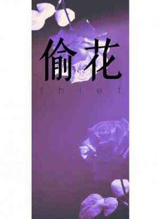 偷花小说