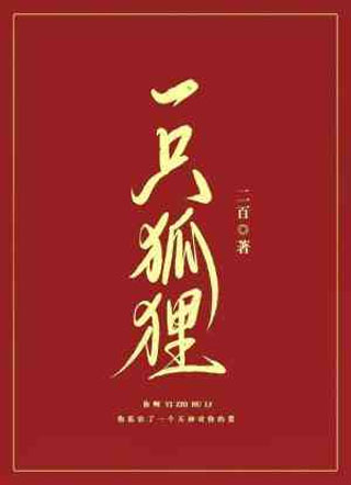 一只狐狸小说