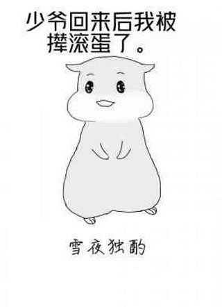 少爷回来后我被撵滚蛋了小说