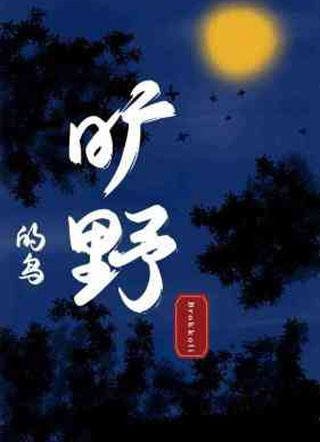 旷野的鸟小说