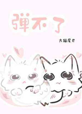 弹不了小说