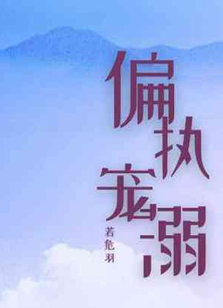 偏执宠溺小说