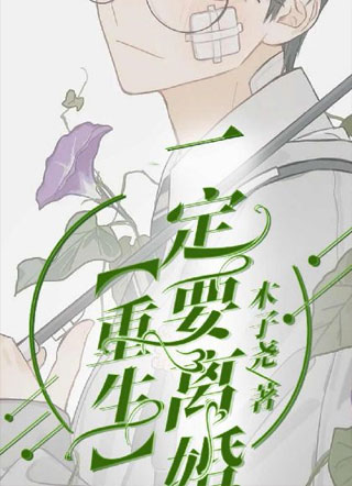 【重生】一定要离婚小说
