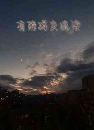 有障碍交流中小说