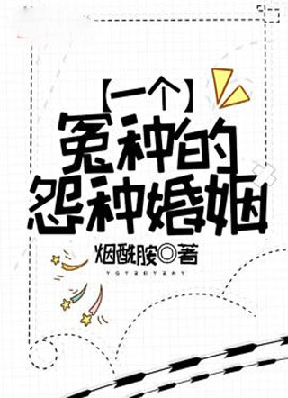 一个冤种的怨种婚姻小说