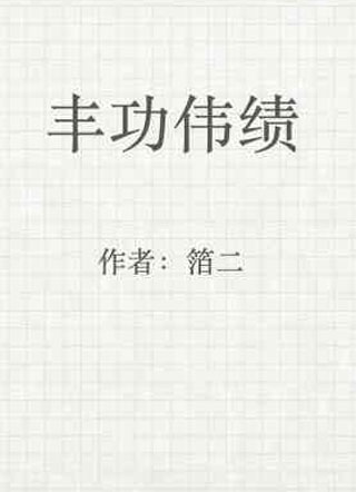丰功伟绩小说